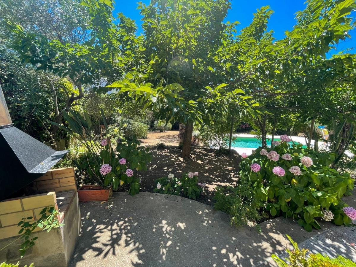 Casa Pindar Hébergement de vacances Roses